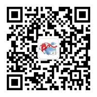 微信客服：476847113